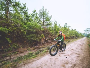 Biking in Denali National Park