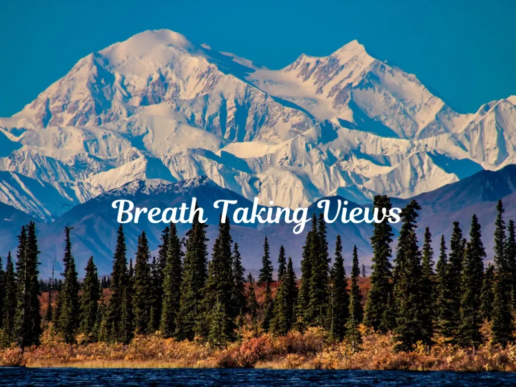 Stunning View of Denali's Mountains, Source: CanvaPro