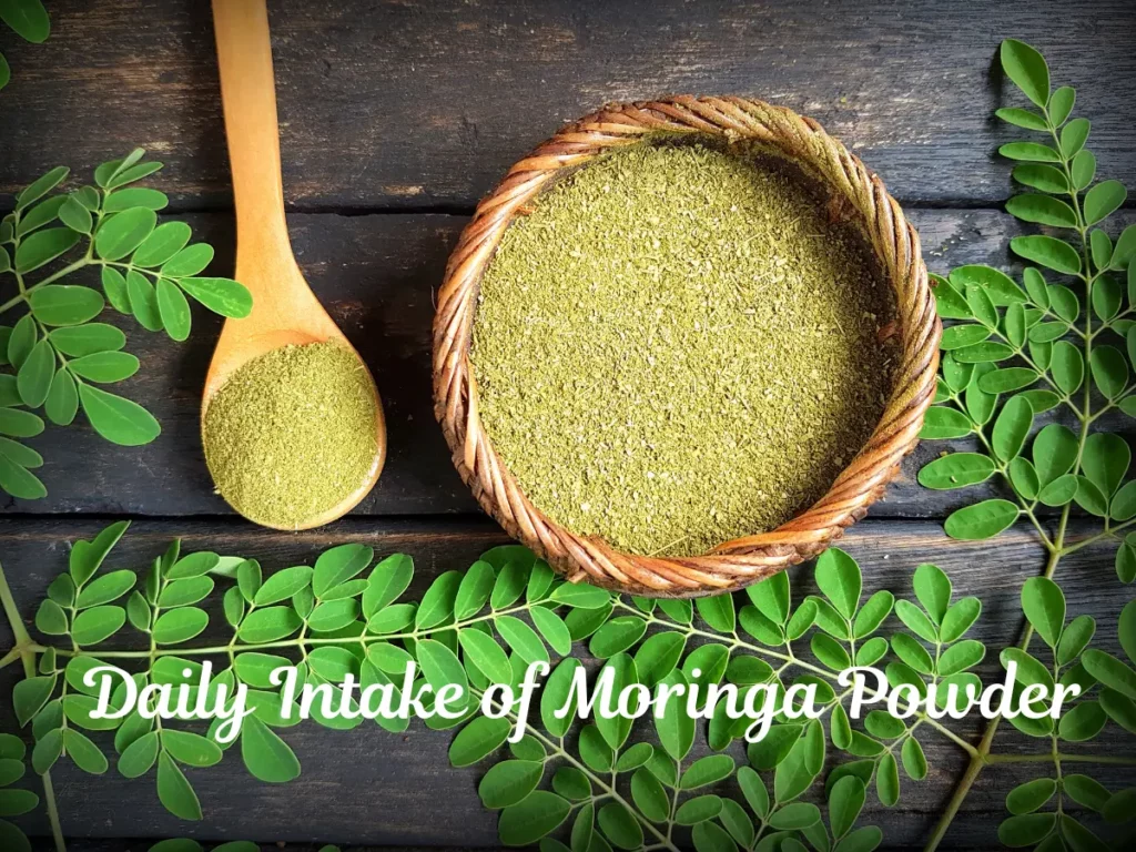 Daily Intake of Moringa Leaf Powder, Source: CanvaPro