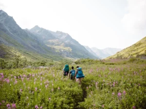 Hiking and Backpacking in Denali