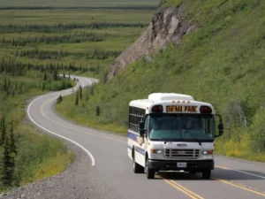 Bus Tour in Denali National Park