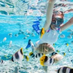 Best Snorkeling Spots in Oahu