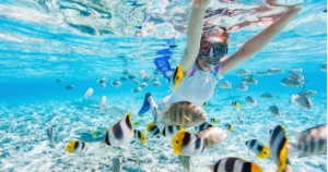 Best Snorkeling Spots in Oahu:12 Epic Underwater Paradises