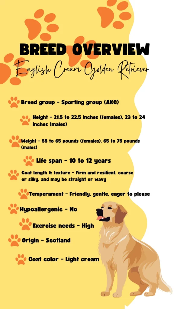 Breed Overview