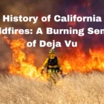 History of California Wildfires: A Burning Sense of Deja Vu